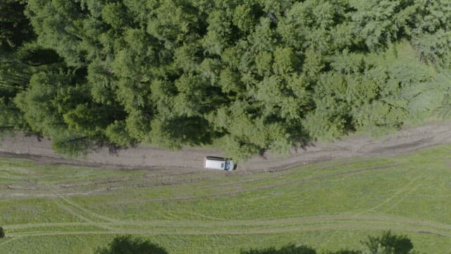 Vehicle on Forest with Lush Green Trees