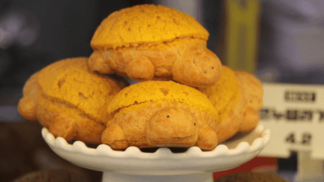 진열대에 놓여 있는 거북이 모양의 빵