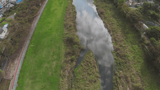 주택 사이로 흐르는 좁은 강