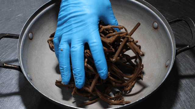 Hand placing bracken in pot