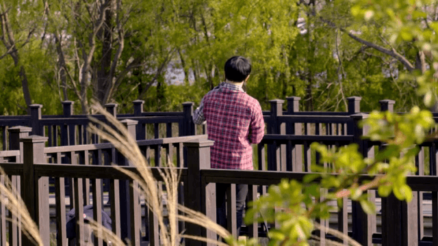 나무 데크에서 사진을 찍는 사람의 뒷모습