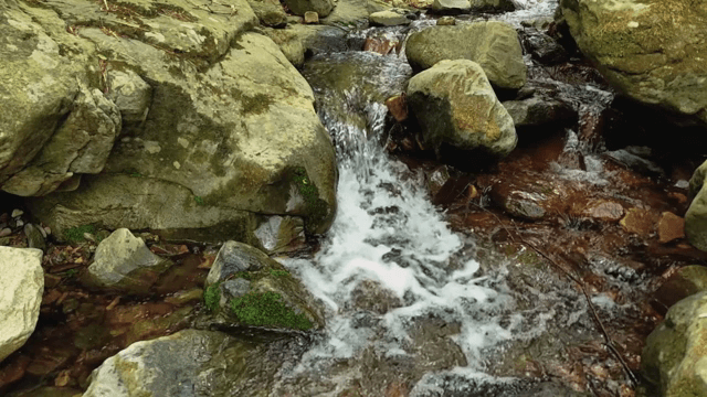 바위 위로 흐르는 고요한 시냇물