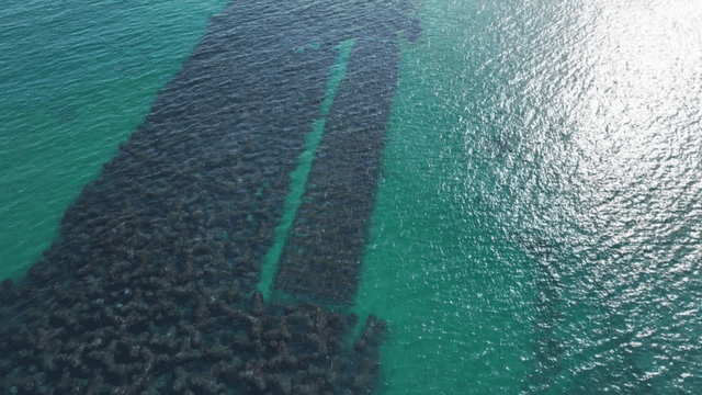 Clear sea water with underwater breakwater visible