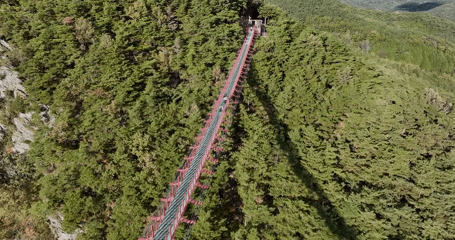 푸른 언덕 위의 빨간 출렁다리