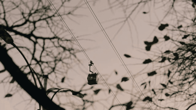 Cable car moving through autumn leaves