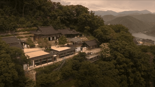 푸른 숲에 둘러싸인 전통 한국 사찰