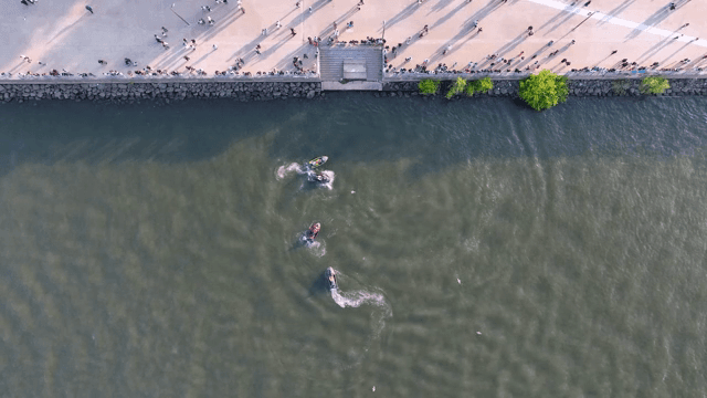 Enjoying jet skiing on the riverside with people