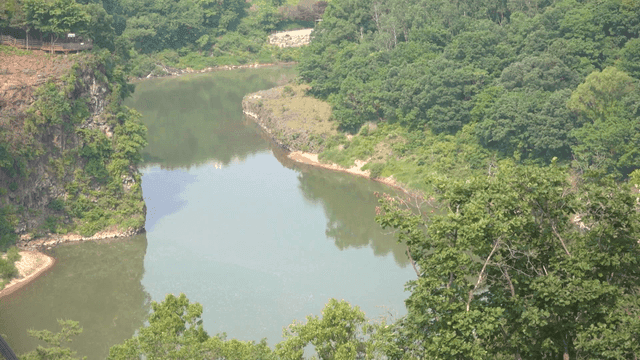 Tranquil river surrounded by green forest