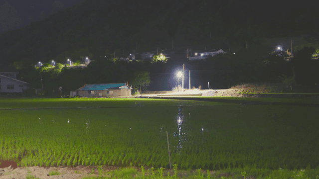 Night view of a rural farm with lights