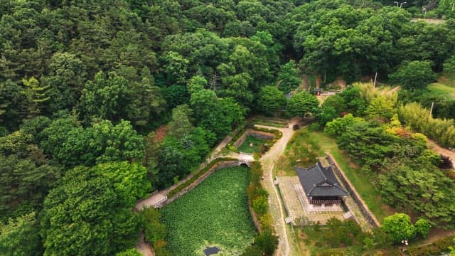 Traditional hanok village surrounded by lush trees