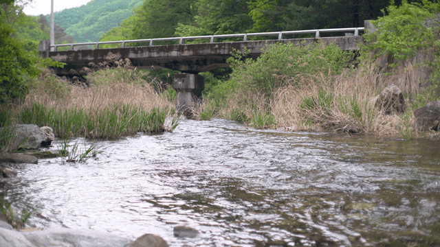 다리 아래로 흐르는 고요한 강