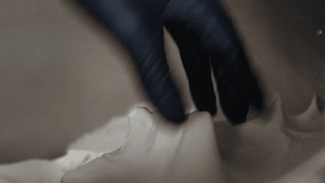 Gloved hands mixing dough