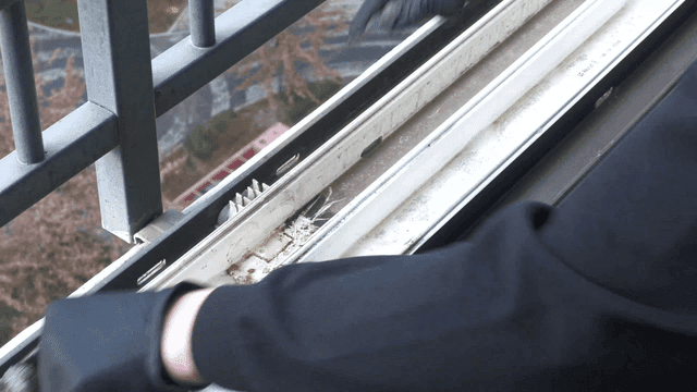 Person cleaning window frame while wearing gloves
