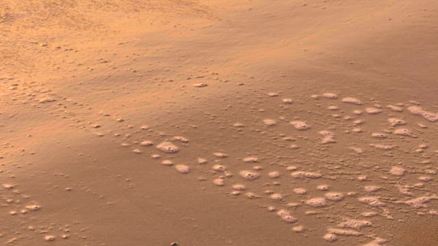 해변의 모래 위에 빛나는 석양의 파도