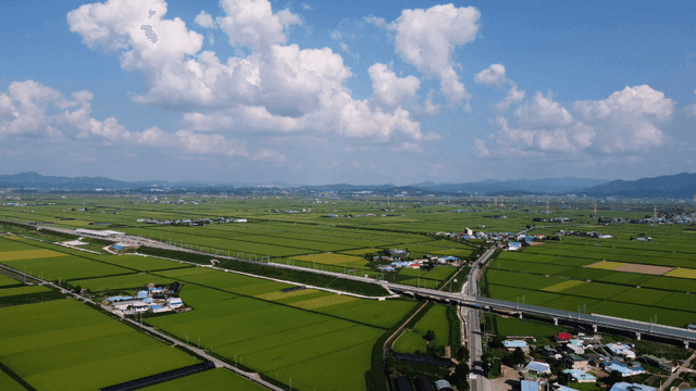 Expansive green fields under a blue sky
