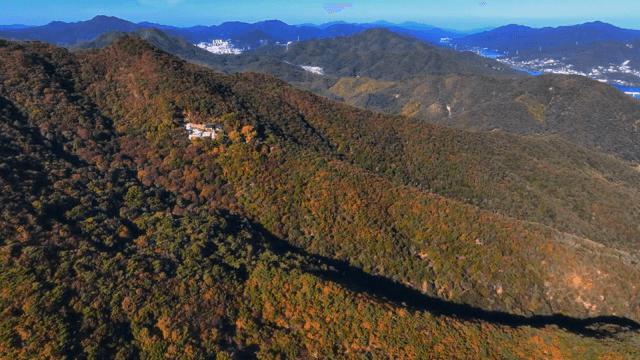 숲이 우거진 산맥의 항공 뷰