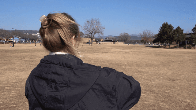 Back view of woman flying kite in field