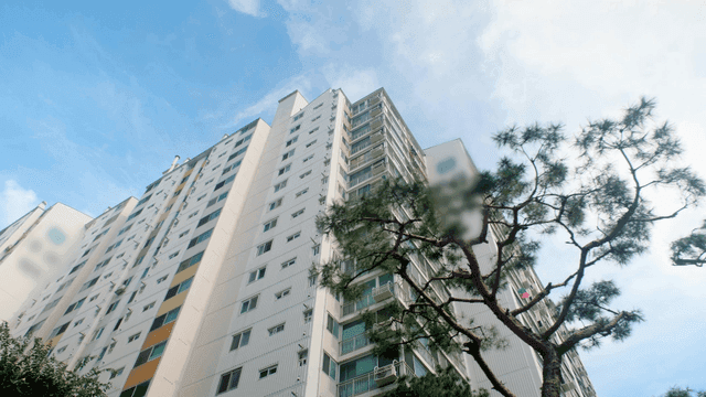 Tall apartment building with pine tree