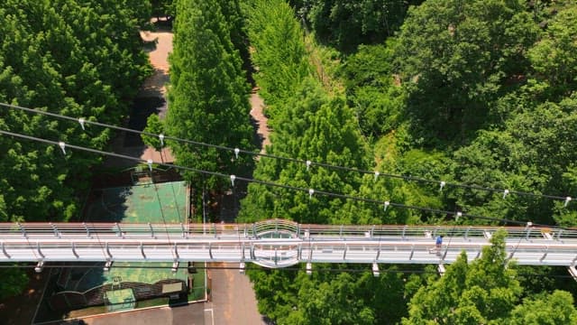 사람들이 아름다운 경치가 보이는 다리를 걷는 모습