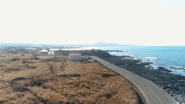 Coastal road with a car and ocean view