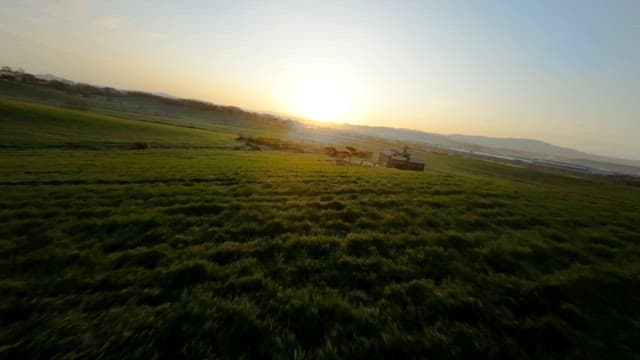 이른 아침의 태양빛이 비추는 넓은 대지