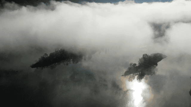 Foggy lake with small island