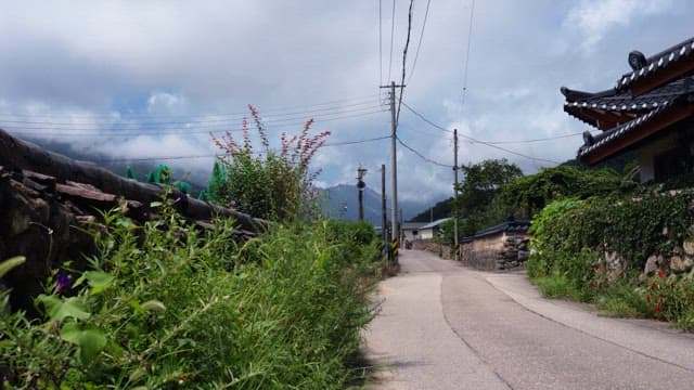 Quiet village path leading to traditional houses