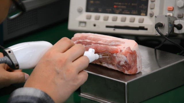 생고기로 하는 플라스마 아크방전 실험