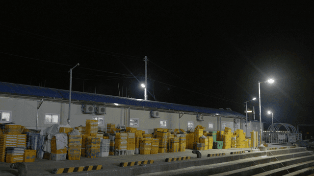 Baskets stacked in front of warehouse at early morning fish market