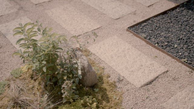 Tranquil Garden with Stone Floor and Gravel