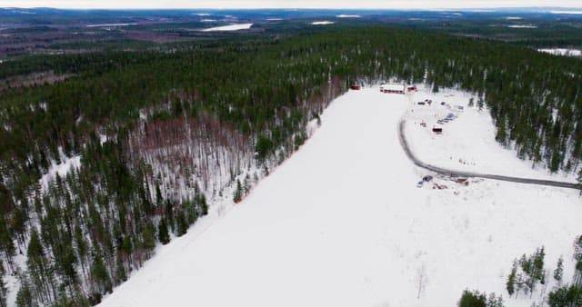 Snow-covered forest and open field