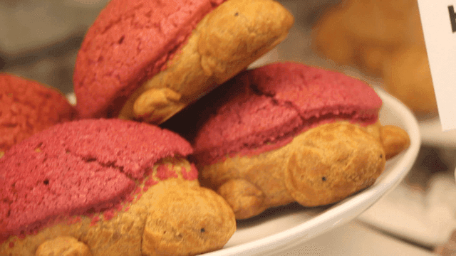 진열대에 놓여 있는 거북이 모양의 빵