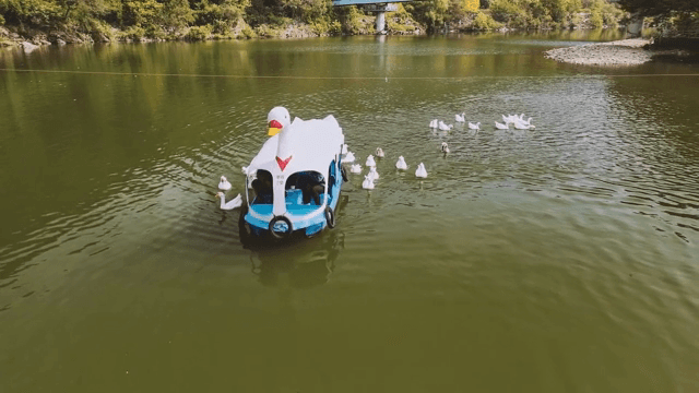 호수 위 오리 보트와 근처의 오리들