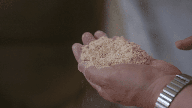 Hands holding and sifting sawdust