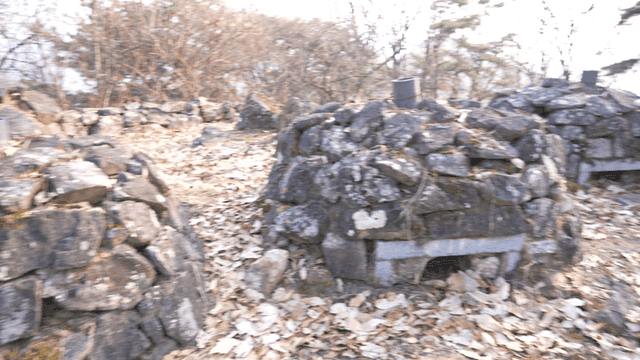Pile of stones in forest