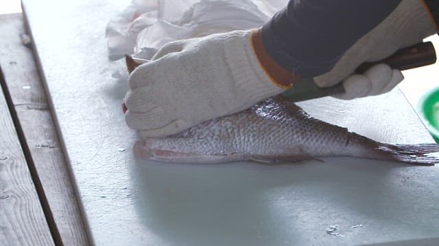 Person filleting a fish on a cutting board with knife