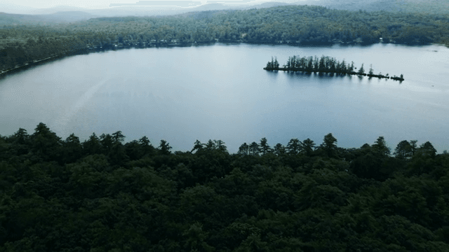고요한 호수를 둘러싼 광활한 숲