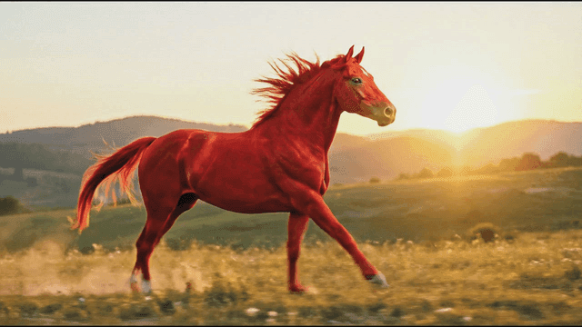 Red horse running across field at sunrise