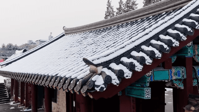 Snow-covered traditional Korean roof