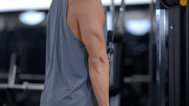 헬스장에서 로프로 암풀다운 팔 운동하는 남성