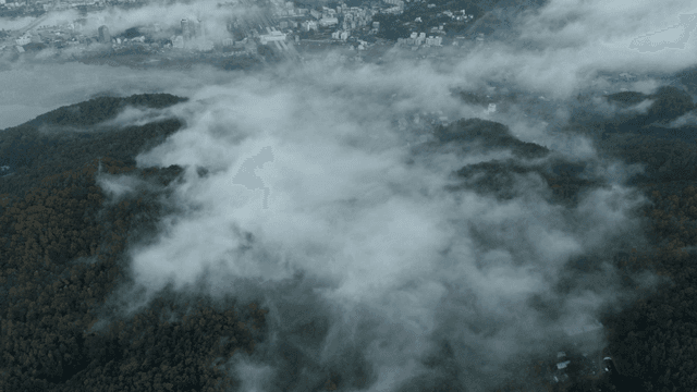 멀리 강이 보이는 안개 낀 숲