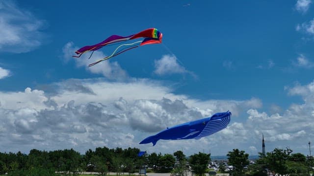 Colorful kites flying in a clear sky