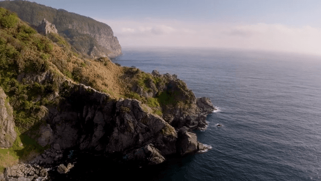 Rocky coastline with lush greenery