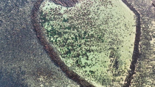 바다 옆 하트 모양의 암석 지형