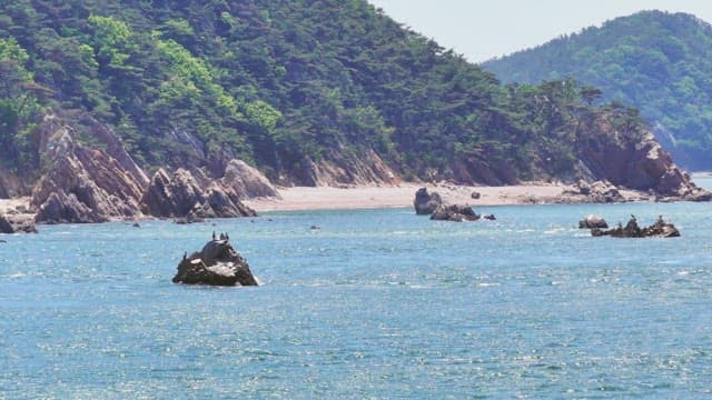 Rocky coastline with clear blue sea