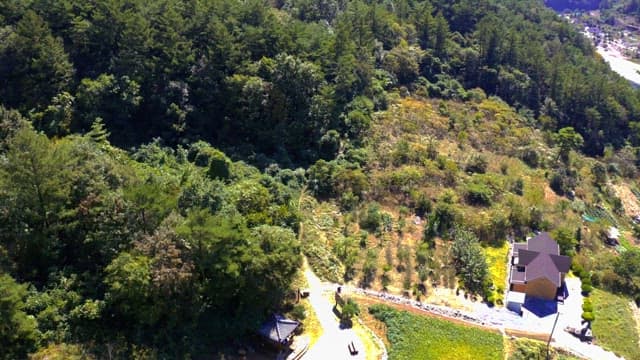 House on a sunny day surrounded by forests