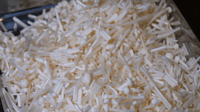 Enoki mushrooms on a metal tray