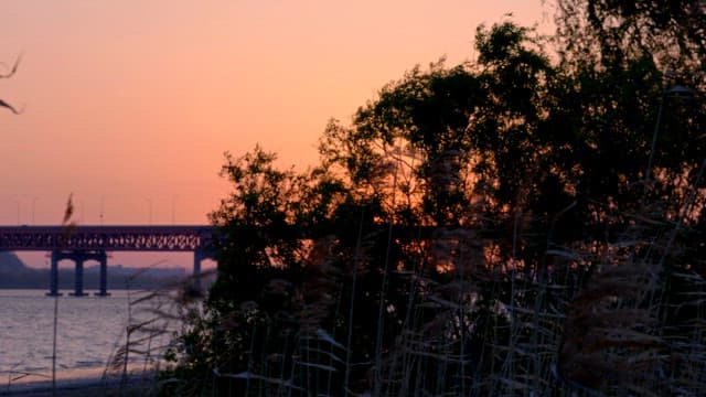 Sunset view with a bridge and trees