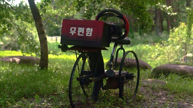 Old bicycle under the tree in the afternoon sunlight