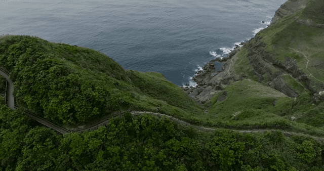 Scenic coastal path with lush greenery